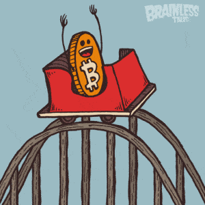 Rollercoaster Bitcoin